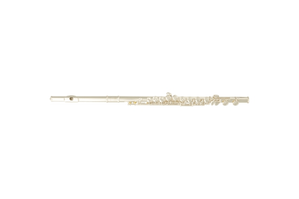 FLAUTO TRAVERSO VSM FL300E