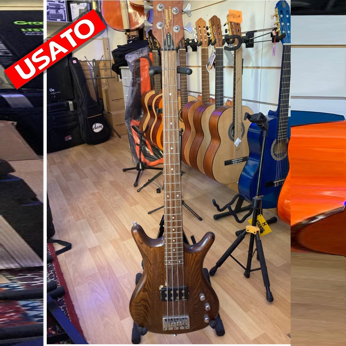 BASSO TANGLEWOOD 4 Corde WARRIOR II