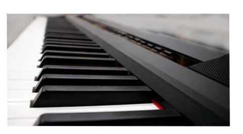Piano DP1 Pianoforte Digitale 88 Tasti pesati +Supporto WS-10B - immagine 4