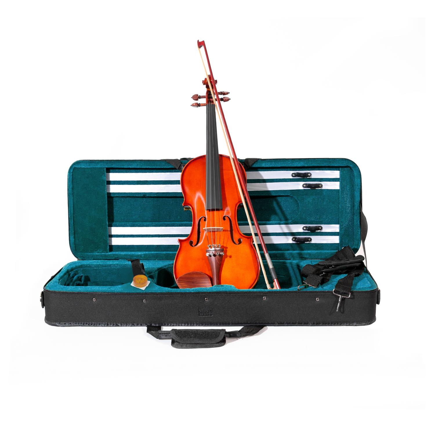 Violino 4/4 Massello "Accademy" Finitura Lucida, parti in Palissandro, Arco Superior, colofonia Rosin (Custodia Rettangolare ed Accessori) - immagine 2