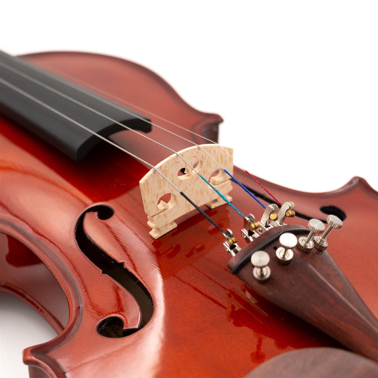 Violino 4/4 Massello "Accademy" Finitura Lucida, parti in Palissandro, Arco Superior, colofonia Rosin (Custodia Rettangolare ed Accessori) - immagine 3