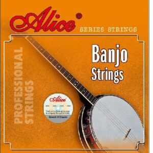 MUTA PER BANJO 5 CORDE ALICE